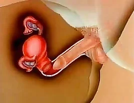 Cumming inside for a pregnancy surprise